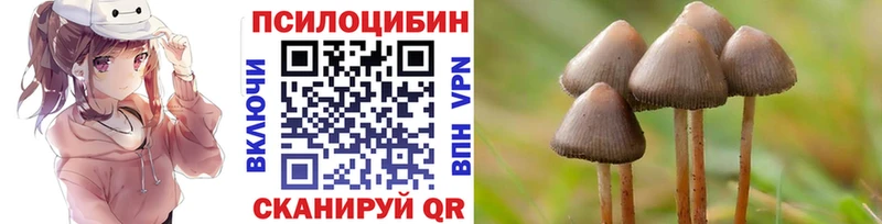 МЕГА ССЫЛКА  закладка  Россошь  Псилоцибиновые грибы Psilocybine cubensis 